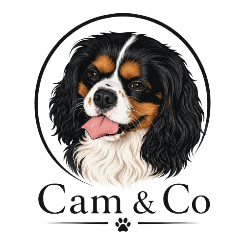 Cam & Co